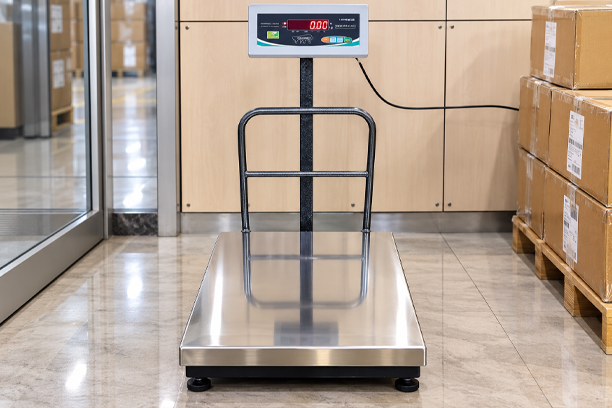 Electronic Platform Weighing Scale